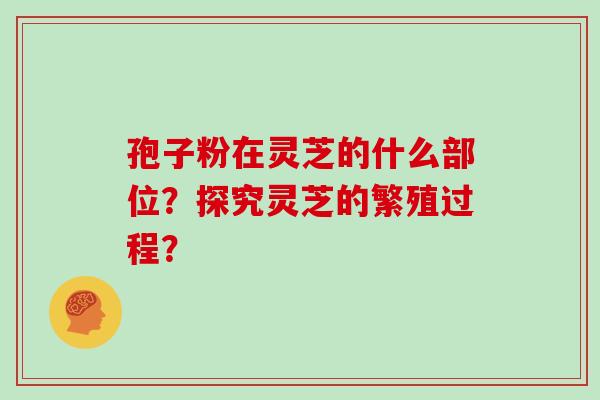 孢子粉在灵芝的什么部位？探究灵芝的繁殖过程？