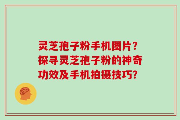 灵芝孢子粉手机图片？探寻灵芝孢子粉的神奇功效及手机拍摄技巧？