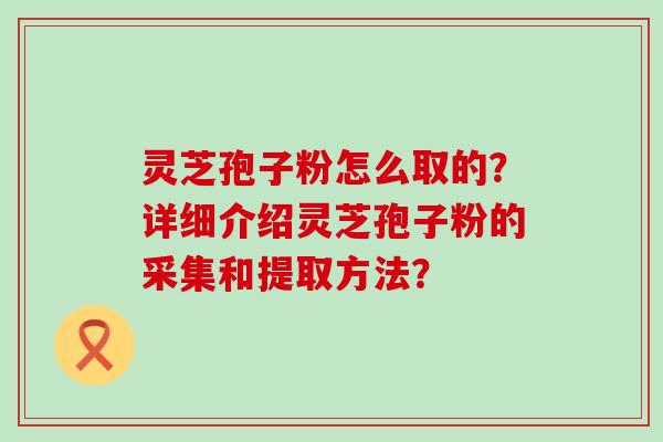 灵芝孢子粉怎么取的？详细介绍灵芝孢子粉的采集和提取方法？