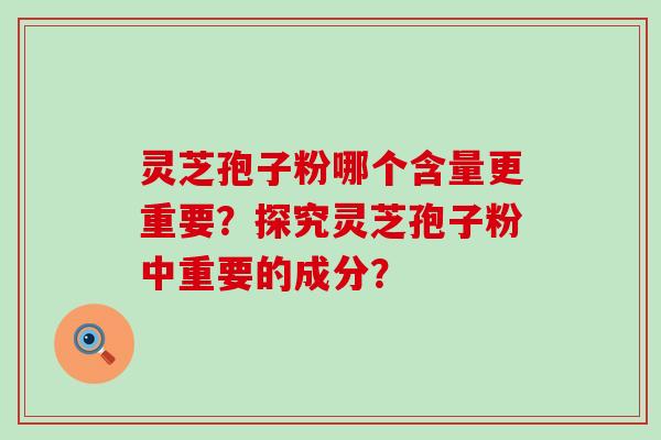 灵芝孢子粉哪个含量更重要？探究灵芝孢子粉中重要的成分？