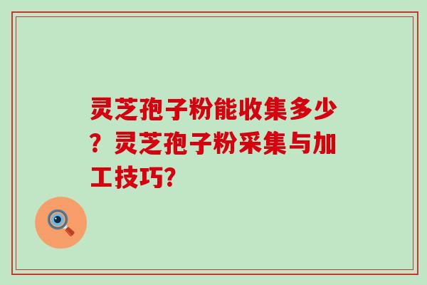 灵芝孢子粉能收集多少？灵芝孢子粉采集与加工技巧？