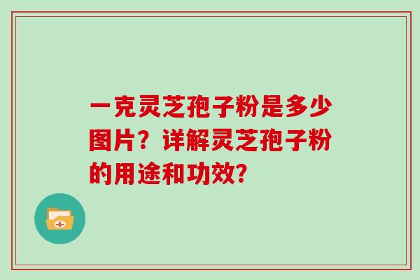 一克灵芝孢子粉是多少图片？详解灵芝孢子粉的用途和功效？