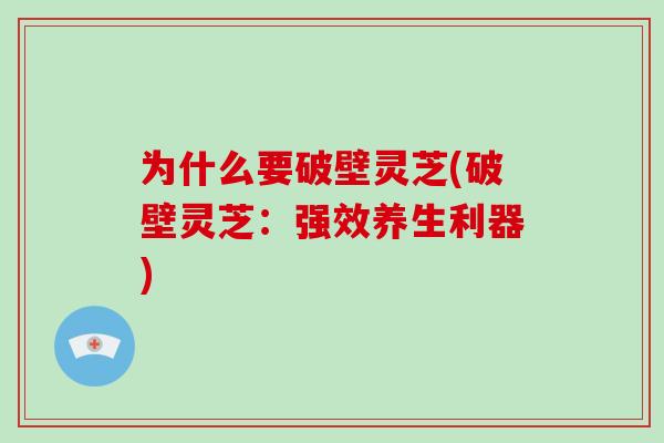 为什么要破壁灵芝(破壁灵芝：强效养生利器)