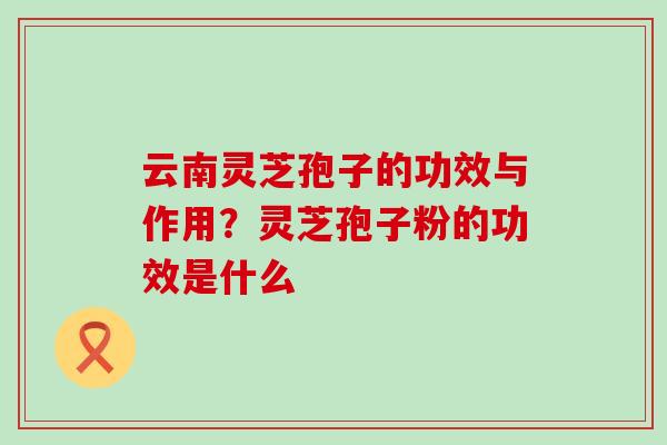 云南灵芝孢子的功效与作用？灵芝孢子粉的功效是什么