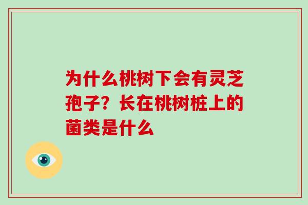 为什么桃树下会有灵芝孢子？长在桃树桩上的菌类是什么