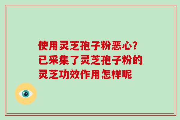 使用灵芝孢子粉恶心？已采集了灵芝孢子粉的灵芝功效作用怎样呢