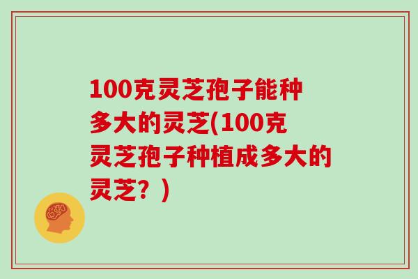 100克灵芝孢子能种多大的灵芝(100克灵芝孢子种植成多大的灵芝？)