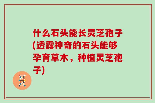 什么石头能长灵芝孢子(透露神奇的石头能够孕育草木，种植灵芝孢子)