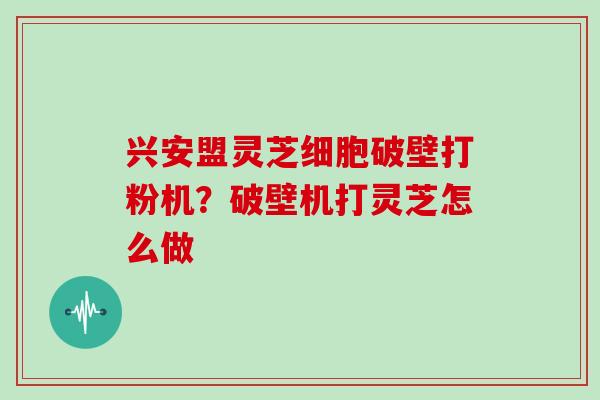 兴安盟灵芝细胞破壁打粉机？破壁机打灵芝怎么做