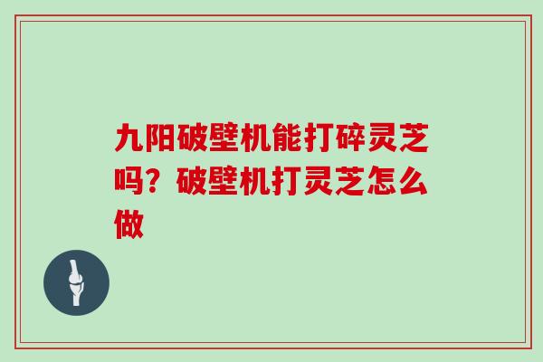 九阳破壁机能打碎灵芝吗？破壁机打灵芝怎么做