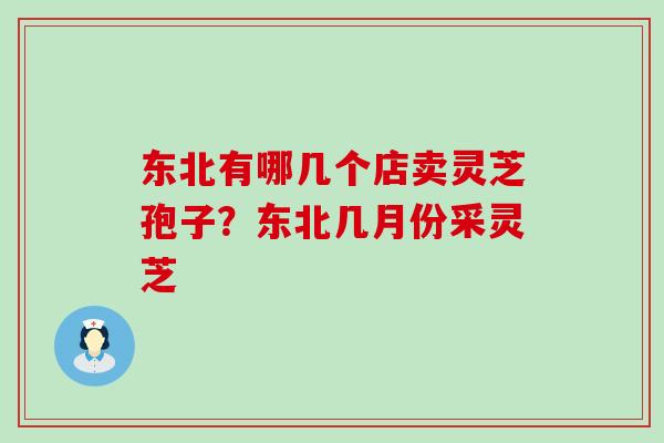 东北有哪几个店卖灵芝孢子？东北几月份采灵芝