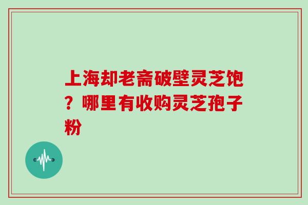 上海却老斋破壁灵芝饱？哪里有收购灵芝孢子粉