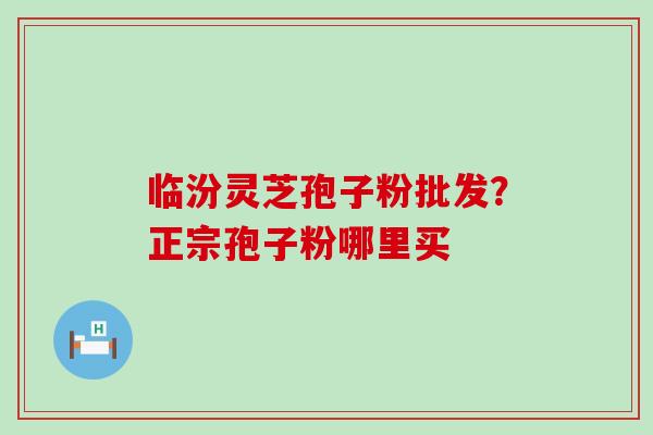 临汾灵芝孢子粉批发？正宗孢子粉哪里买