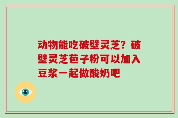 动物能吃破壁灵芝？破壁灵芝苞子粉可以加入豆浆一起做酸奶吧