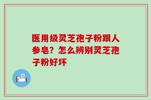 医用级灵芝孢子粉跟人参皂？怎么辨别灵芝孢子粉好坏