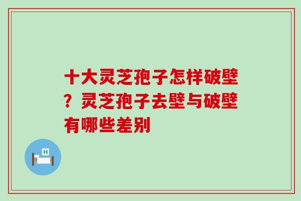 十大灵芝孢子怎样破壁？灵芝孢子去壁与破壁有哪些差别