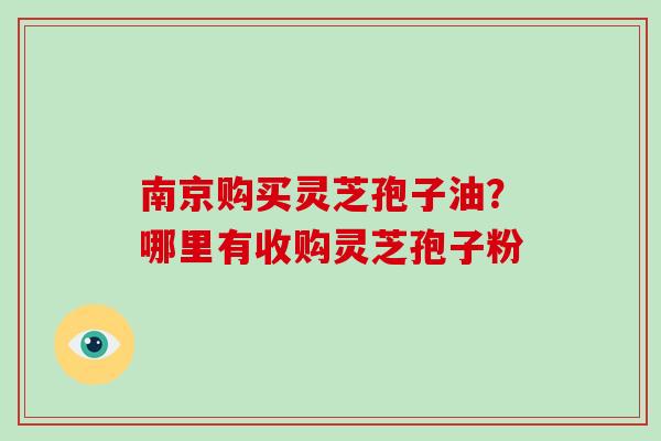 南京购买灵芝孢子油？哪里有收购灵芝孢子粉