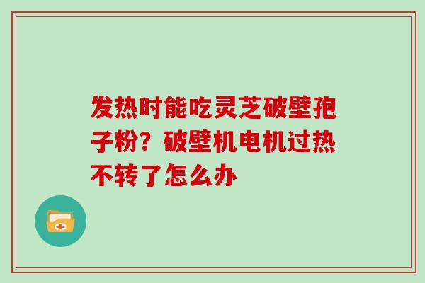 发热时能吃灵芝破壁孢子粉？破壁机电机过热不转了怎么办