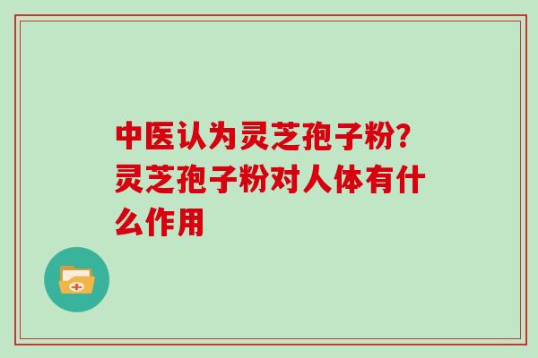 中医认为灵芝孢子粉？灵芝孢子粉对人体有什么作用