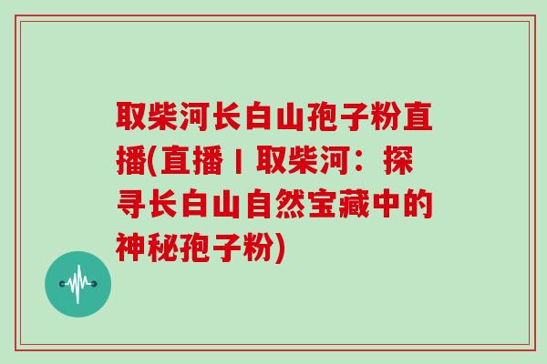 取柴河长白山孢子粉直播(直播丨取柴河：探寻长白山自然宝藏中的神秘孢子粉)