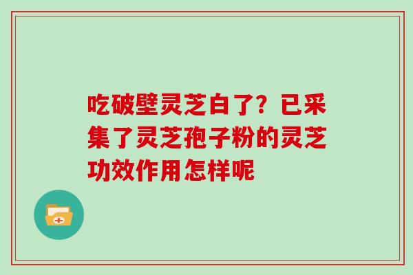 吃破壁灵芝白了？已采集了灵芝孢子粉的灵芝功效作用怎样呢