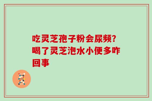 吃灵芝孢子粉会尿频？喝了灵芝泡水小便多咋回事