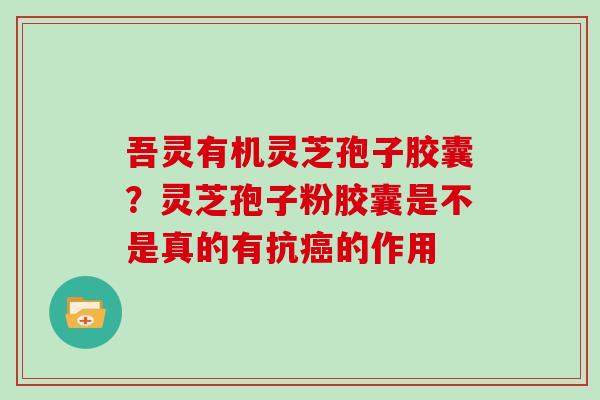 吾灵有机灵芝孢子胶囊？灵芝孢子粉胶囊是不是真的有抗的作用