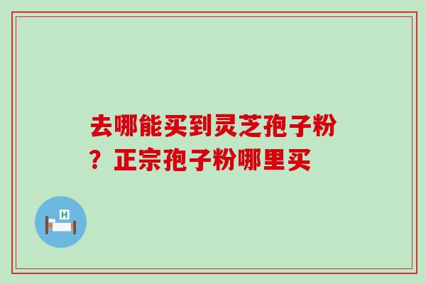 去哪能买到灵芝孢子粉？正宗孢子粉哪里买