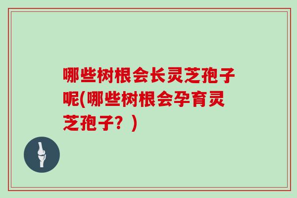 哪些树根会长灵芝孢子呢(哪些树根会孕育灵芝孢子？)