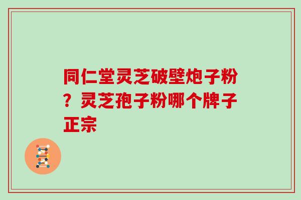 同仁堂灵芝破壁炮子粉？灵芝孢子粉哪个牌子正宗