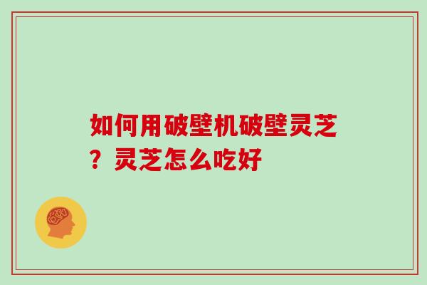 如何用破壁机破壁灵芝？灵芝怎么吃好