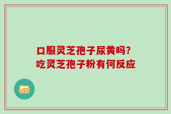 口服灵芝孢子尿黄吗？吃灵芝孢子粉有何反应