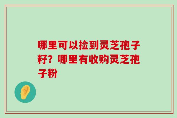 哪里可以捡到灵芝孢子籽？哪里有收购灵芝孢子粉