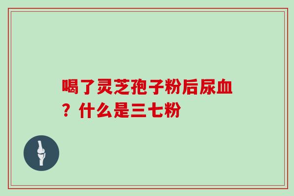 喝了灵芝孢子粉后尿？什么是三七粉