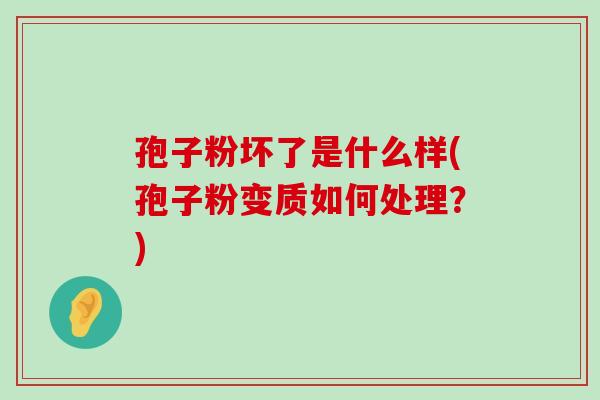 孢子粉坏了是什么样(孢子粉变质如何处理？)