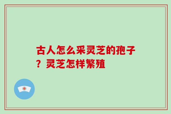 古人怎么采灵芝的孢子？灵芝怎样繁殖