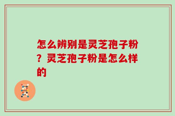 怎么辨别是灵芝孢子粉？灵芝孢子粉是怎么样的