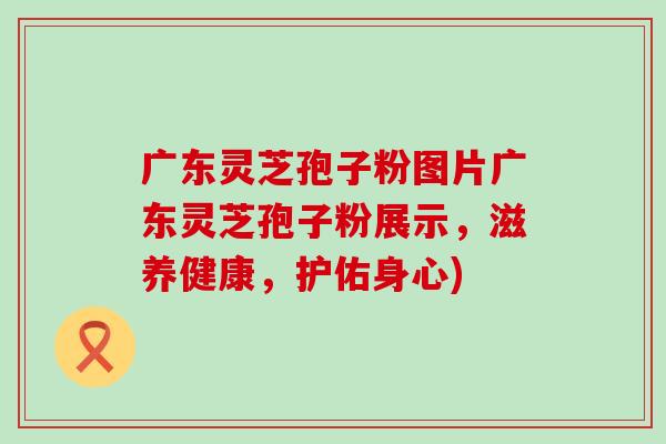 广东灵芝孢子粉图片广东灵芝孢子粉展示，滋养健康，护佑身心)