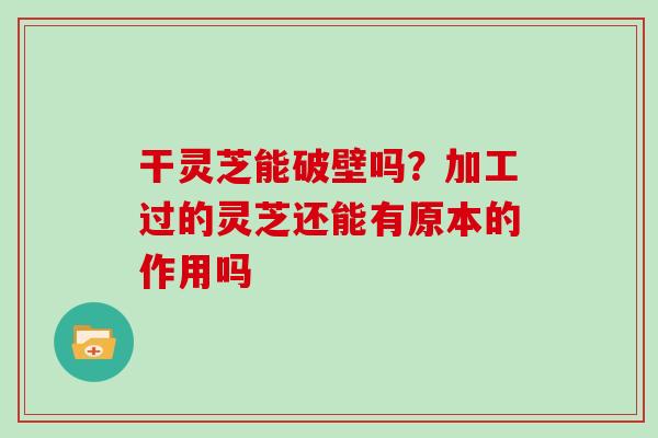 干灵芝能破壁吗？加工过的灵芝还能有原本的作用吗