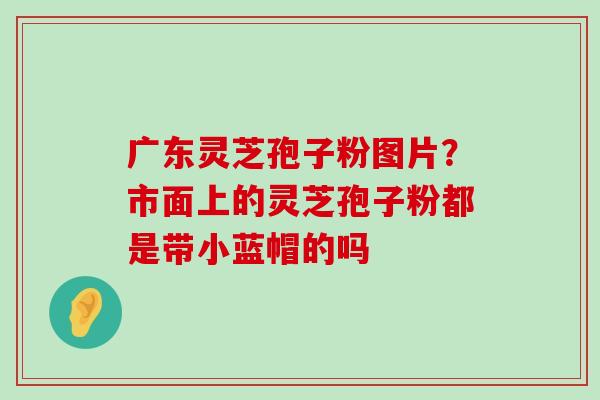 广东灵芝孢子粉图片？市面上的灵芝孢子粉都是带小蓝帽的吗