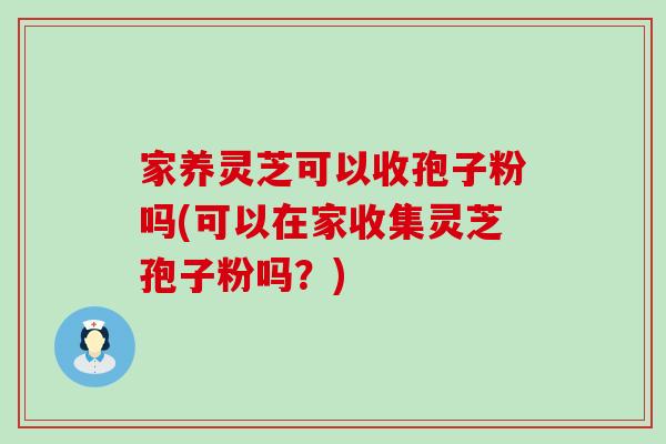 家养灵芝可以收孢子粉吗(可以在家收集灵芝孢子粉吗？)