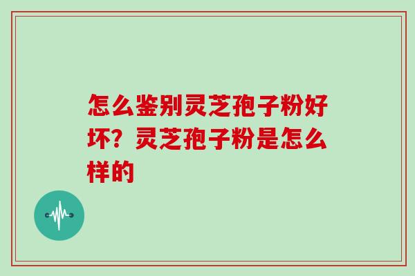 怎么鉴别灵芝孢子粉好坏？灵芝孢子粉是怎么样的