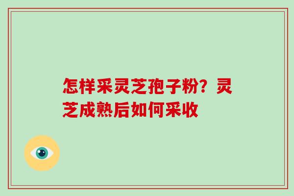 怎样采灵芝孢子粉？灵芝成熟后如何采收