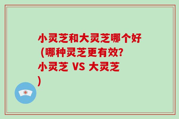 小灵芝和大灵芝哪个好 (哪种灵芝更有效？小灵芝 VS 大灵芝)