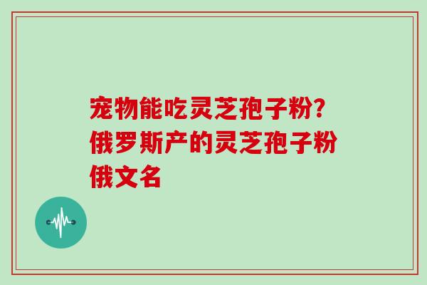 宠物能吃灵芝孢子粉？俄罗斯产的灵芝孢子粉俄文名