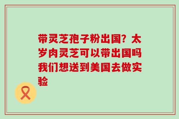 带灵芝孢子粉出国？太岁肉灵芝可以带出国吗我们想送到美国去做实验