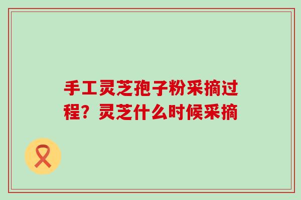 手工灵芝孢子粉采摘过程？灵芝什么时候采摘