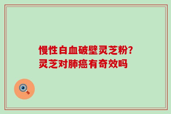 慢性白破壁灵芝粉？灵芝对有奇效吗