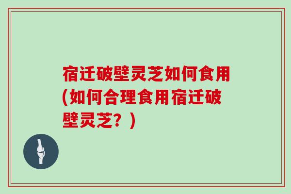 宿迁破壁灵芝如何食用(如何合理食用宿迁破壁灵芝？)