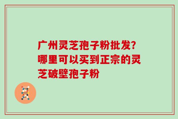 广州灵芝孢子粉批发？哪里可以买到正宗的灵芝破壁孢子粉